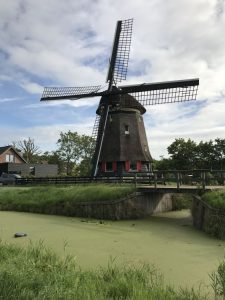 IMG_0128
